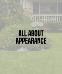 All About Appearance