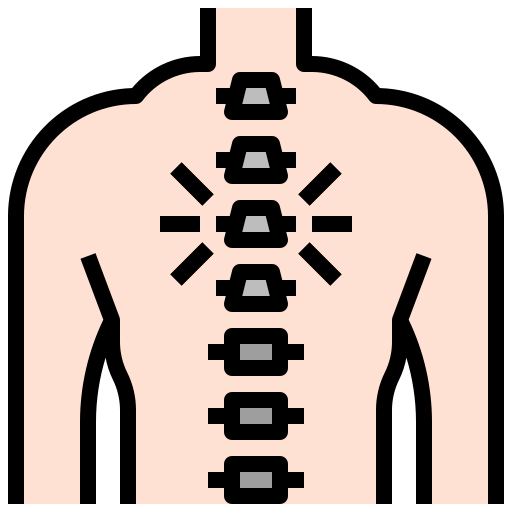 Chiropractic & Spine